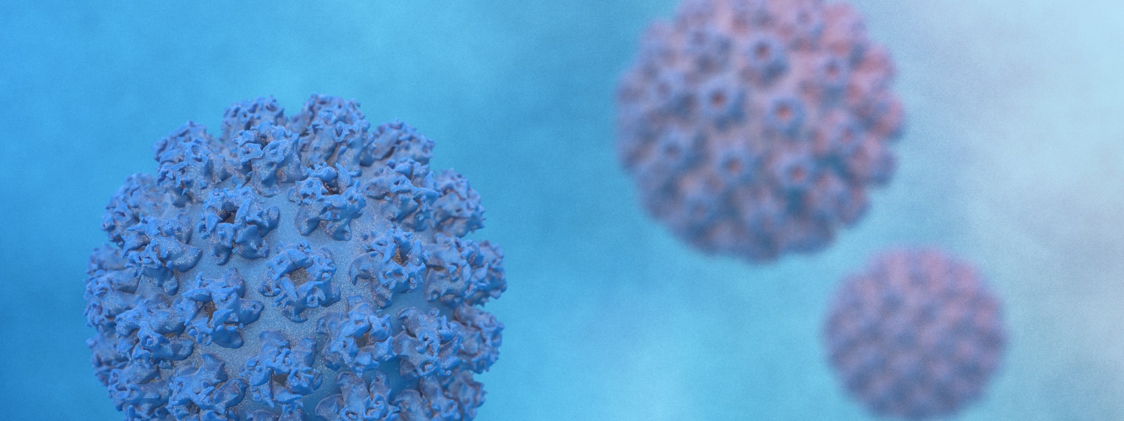 Human papillomavirus type 16 Human papillomavirus type 16