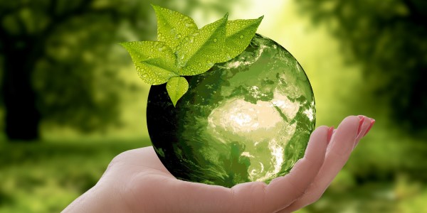 A hand holding the earth which is coloured green with leaves at the top A hand holding the earth which is coloured green with leaves at the top