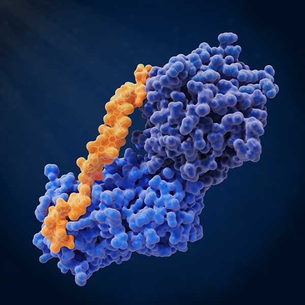 Microscopic illustration of medicines. Microscopic illustration of medicines.
