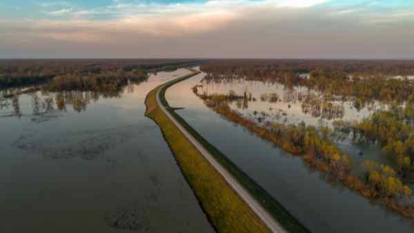 A raised road runs through a floodplain surrounded by submerged trees A raised road runs through a floodplain surrounded by submerged trees