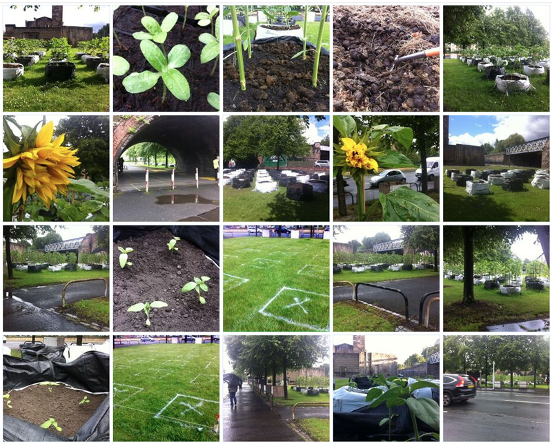 Yellowfield Mobileland Gorbals gap site 20 images